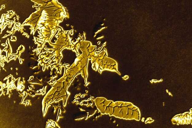 Секреты безопасности на золотых картах